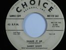 Rockabilly 45 SANDY SCOTT Shake It Up CHOICE promo HEAR