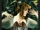 FLORENCE & THE MACHINE- Lungs - 2009 SEALED VINYL LP