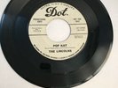 Rare THE LINCOLNS on DOT Pop Kat and We Got Some GARAGE ROCK 45 TESTED Promo