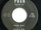 Charles Ross Rockabilly Angel Baby Push Records Greenville SC Rare Listen