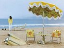 NEIL YOUNG ON THE BEACH VINYL LP REISSUE NEW SEALED