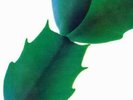 HIROSHI YOSHIMURA: GREEN (LP vinyl *PRE-ORDER*.)