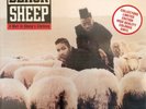 BLACK SHEEP A Wolf In Sheep's Clothing NEW Sealed LP Color Vinyl + FREE SHIPPING