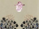 DEVENDRA BANHART: SMOKEY ROLLS DOWN.CANYON [LP vinyl]
