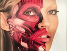 DAMIAN HIRST Kate MOSS Use Money Cheat Death Art Cover Damien Record Banksy