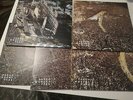 VASCO ROSSI - MODENA PARK VOL. 1, 2, 3, 4, 5 - VINILE - LP 33 GIRI - 12