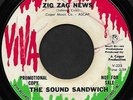 THE SOUND SANDWICH (Viva) - Rare 60's USA Garage Psych Rock 45