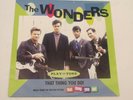 The Wonders THAT THING YOU DO 1996  7