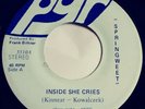 Springweet  Inside she cries Obscure Garage Fuzz 7