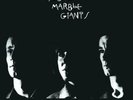 YOUNG MARBLE GIANTS: COLOSSAL YOUTH (LP vinyl *BRAND NEW*.)