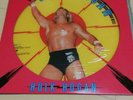 Hulk Hogan Ichiban Picture disc record wrestling NJPW WWE WWF Glorious superman