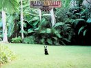 Matt Corby ?– Rainbow Valley LP (NEW SEALED 2018 Vinyl) OOP Oz Folk Rock