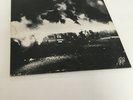 Dead Kennedys - Fresh fruit for rotting vegetables vinyl record, used punk rock