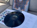 THE HOUSE OF LOVE VINYL - FONTANA 842 293-1