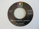 THE SHAKERS   ONE WONDERFUL MOMENT - NORTHERN SOUL CLASSIC