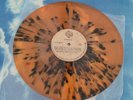 ROD STEWART - Young Turks SCARCE COLOMBIA SPLATTER 12