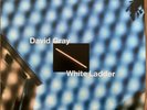 DAVID GRAY WHITE LADDER VINYL ME PLEASE VMP 2LP SILVER SPECIAL EDITION OOP