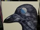 Strawberry Path ?– When The Raven Has Come To The Earth reissue vinyl record