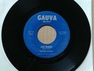 THE ROUGH RIDERS 45 7