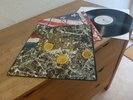 The Stone Roses ?– The Stone Roses 1989 NM INDIE ROCK RARITY