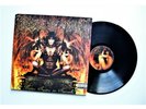CRADLE OF FILTH - BITTER SUITES TO SUCCUBI - LP UK 2001 - EXCELLENT