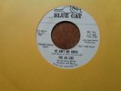 THE AD LIBS 45 Northern Soul BLUE CAT PROMO 114 VG++ / He Ain't No Angel