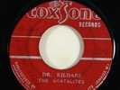 Skatalites/Delroy Wilson 