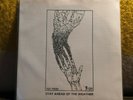 Stay Ahead Of The Weather - We Better Get.. - Test Press 3/20 - Benefitting CCBF