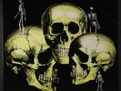 SKULL SNAPS: Skull Snaps LP (gatefold cover, few cover creases, corner dings)