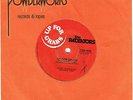 THE RADIATORS UP FOR GRABS - RARE 7
