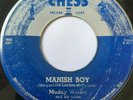 Blues Original 45/ Muddy Waters 