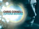 Chris Cornell - Euphoria Mourning