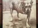 Alice In Chains Self Titled Vinyl Record Lp 1995 Original 1st Press US Version