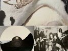 Aerosmith - Get A Grip White/black Colored Vinyl