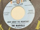 The Marvells-U.Rare N. Soul 45-The Miracle of Life/What About The Mountain?