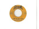 BOOKER SINGERS 45  Come In This House / I Must Tell Jesus - NM
