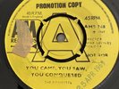 The Ronettes - You Came, You Saw, You Conquered/I Can Hear Music 7 Inch Promo