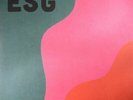 ESG - Step Off (reissue) - Vinyl (pink vinyl LP + MP3 download code)