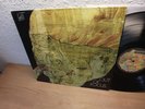 OUT OF FOCUS SAME LP IN 1971 KRAUTROCK 1st Pressing Mega Music