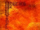 ...And You Will Know Us By The Trail Of Dead ?– Source Tags & Codes [12'' VINYL]