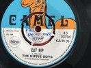 1969 Vinyl The Hippie Boys - Cat Nip - Boss Skinhead Reggae On Camel Pama CA29