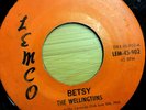 THE WELLINGTONS Betsy / Kathy LEMCO 902 Lexington Ky 1966