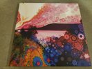 Chris Robinson Brotherhood Phosphorescent Harvest 2 LP Colored