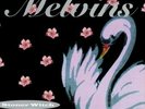 Melvins - Stoner Witch [Used Very Good Vinyl LP] Holland - Import