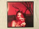 Widespread Panic Everyday double black vinyl 2LP set not gatefold