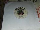 WOLF // TYRONE TAYLOR // LIFE TABLE // BLACK DISCIPLES // TURNI // 7'' // Listen