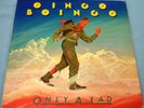 OINGO BOINGO - ONLY A LAD LP 1981 LP ORIGINAL A&M SP 4863 PICTURE LYRIC SLEEVE