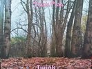 TWINK - THINK PINK & SOUND OF SILK : DEMOS & RARETIES Dbl LP Akarma 2019 SEALED