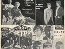 THE SEEDS / THE ANIMALS THAILAND EP