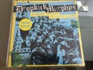 Dropkick Murphys ?– 11 Short Stories Of Pain & Glory blue vinyl - NM/NM